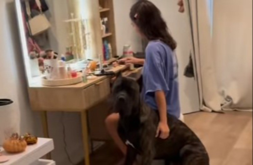  HIT NA MREŽAMA Džinovski pas se sklupčao pored vlasnice čim je čuo OVAJ ZVUK! (VIDEO)